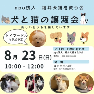 NPO法人 福井犬猫を救う会