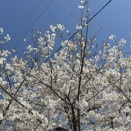 大変お久しぶりです。