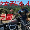 5月と言えば薔薇🌹ってことでバラ園へ