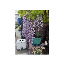 AM-3000D4AXの購入