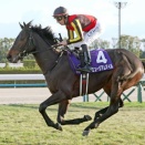 占い競馬予想　第７０回有馬記念