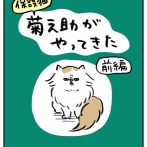 保護猫 菊之助がやってきた【前編】