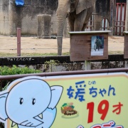 媛ちゃんの19歳のお誕生会♪