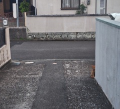 元気です