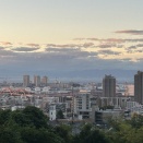パープルの朝♪