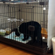 嵐の前にすること。