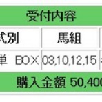 爆発力のある馬券予想：競馬