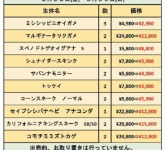 今週末はハチクラサービスデー！！