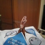 姉さんの壊れた日々