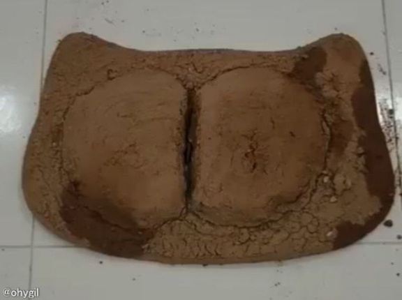 泥の塊になっていたマットを徹底的にクリーニングしたら…めちゃくちゃキュートなデザインだった