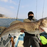 『３月６日　釣果　スロージギング　マダラエンドレス(^^♪　帰りにちょこっと根魚！！』の画像