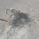 星空観察を計画されている方へ　2025.11