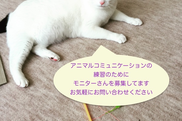 日程の変更のお知らせ Color Cloud