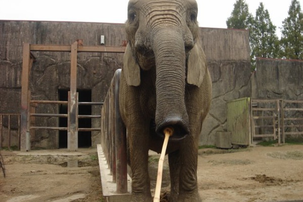 動物園の一日 15年11月