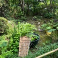 7月9日のお稽古ーお茶会の稽古