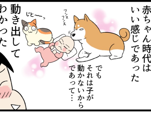 犬猫を飼っていて子供が生まれた人の「憧れと現実」