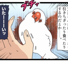 ささくれの時間だコラァ!!