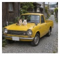 思いを表現・・・
