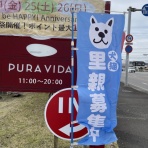 アニマルボンド Animal bond.