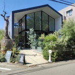 You and the night and Jazz