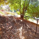 楽しいお散歩です