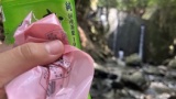 四万十川きたｗｗｗ（※画像あり）