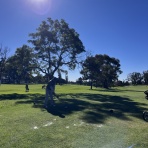 サンディエゴライフ　今昔