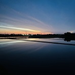 カモもすなる日記といふもの