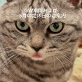GWおよび5月の定休日のお知らせ