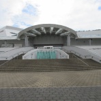 窓越しのペンギンたち