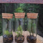 芦見谷芸術の森公式サイト