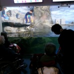 ほのぼの老健かまくら