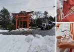 除雪車