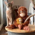 IKEAで「オランママ」に出会った✨