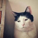 いつもの所でチヌトップ
