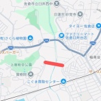 ラッキーの日記と、パパのカメブラ散歩