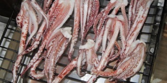 彼の口から出てたイカゲソがなんかトカゲみたいで急速に冷めてしまった