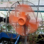 温泉めだかのブログ