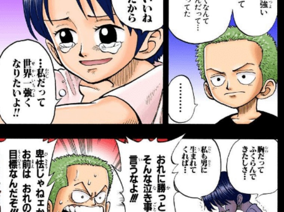 たしぎ「女だと強くなれねェ！……」ﾎﾞﾛﾎﾞﾛ←尾田くんさぁ…