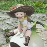 『FF14 無人島でアイル・マンドラゴラとアイル・オニオンプリンスのマウントを交換しましたヾ(〃^∇^)ﾉ　先週の売り上げ計は約１９６４５でしたヾ(〃^∇^)ﾉ　レベル１　開拓ランク１０』の画像