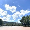 交野市は昼過ぎに38℃超えの天気予報！7月29日（火）以降暑さに注意！
