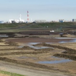 『29日未明の雨でA地区には大きな水たまりができました』の画像
