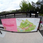 『ペンタックス用LAOWA60mmF2.8マクロによる里山ガーデン　2019/05/03』の画像