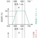 "モレキュール"の騎行