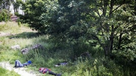 【フランス】英仏海峡トンネル一時封鎖…移民殺到、侵入試みる