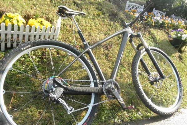 中華カーボン29er /ダイナソートレイルツアー/お問い合わせはPC版
