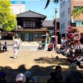 今回は、5/17(日)に「第59回〝福山ばら祭2026〟」行きのGONsanでした(^.-)☆(02)