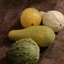 おもちゃカボチャの捨てどき