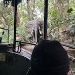 坊ちゃんとガモジゴ