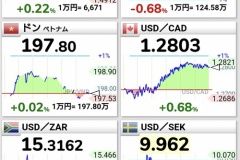 ルーブル急落　市民、「車」を買う